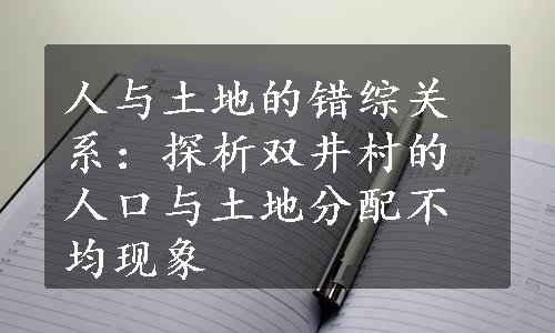 人与土地的错综关系：探析双井村的人口与土地分配不均现象