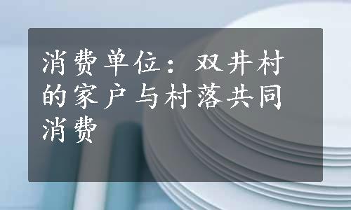 消费单位：双井村的家户与村落共同消费