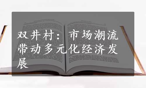 双井村：市场潮流带动多元化经济发展