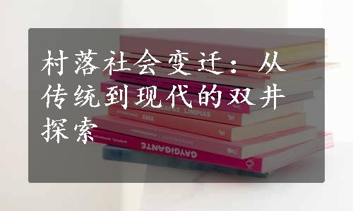 村落社会变迁：从传统到现代的双井探索