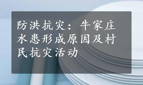 防洪抗灾：牛家庄水患形成原因及村民抗灾活动