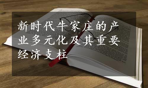 新时代牛家庄的产业多元化及其重要经济支柱