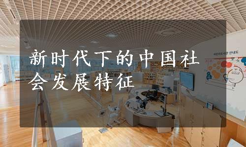 新时代下的中国社会发展特征