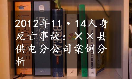 2012年11·14人身死亡事故：××县供电分公司案例分析