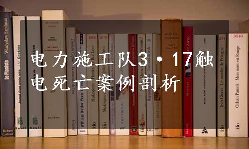 电力施工队3·17触电死亡案例剖析