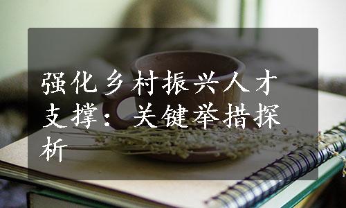 强化乡村振兴人才支撑：关键举措探析