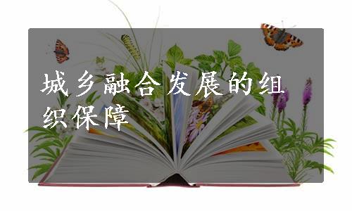 城乡融合发展的组织保障