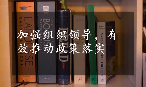 加强组织领导，有效推动政策落实