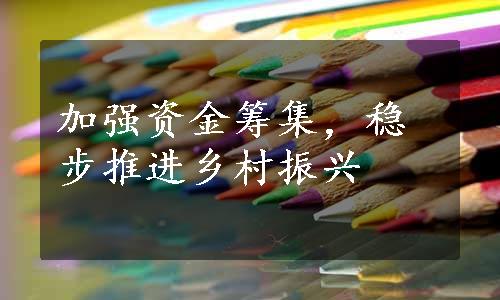 加强资金筹集，稳步推进乡村振兴