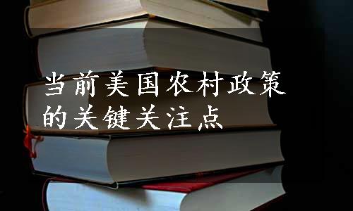 当前美国农村政策的关键关注点