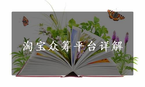 淘宝众筹平台详解