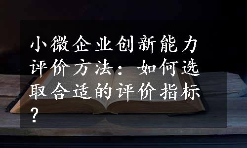 小微企业创新能力评价方法：如何选取合适的评价指标？