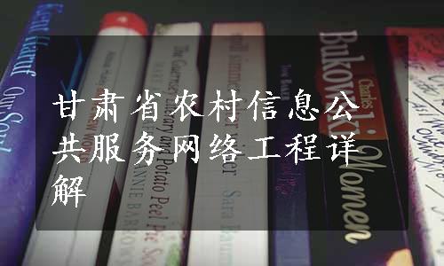 甘肃省农村信息公共服务网络工程详解