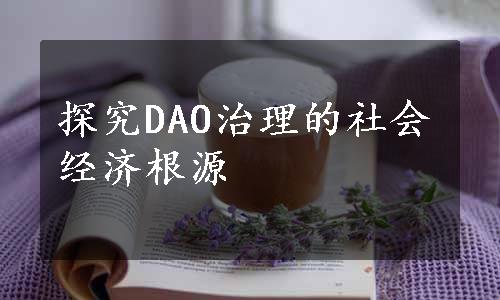 探究DAO治理的社会经济根源