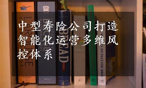 中型寿险公司打造智能化运营多维风控体系