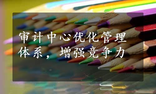 审计中心优化管理体系，增强竞争力