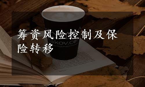 筹资风险控制及保险转移