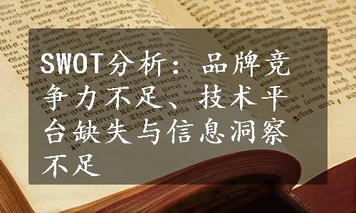 SWOT分析：品牌竞争力不足、技术平台缺失与信息洞察不足