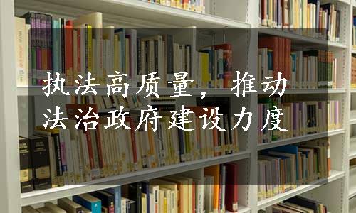 执法高质量，推动法治政府建设力度