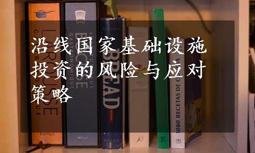 沿线国家基础设施投资的风险与应对策略