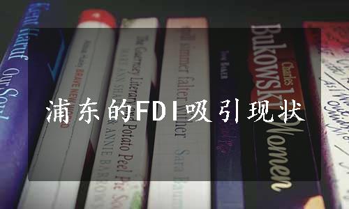 浦东的FDI吸引现状