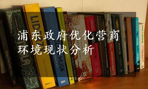 浦东政府优化营商环境现状分析