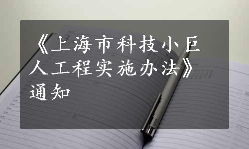 《上海市科技小巨人工程实施办法》通知