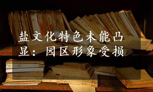 盐文化特色未能凸显：园区形象受损