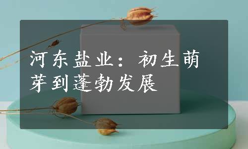 河东盐业：初生萌芽到蓬勃发展