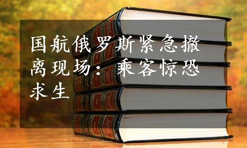 国航俄罗斯紧急撤离现场：乘客惊恐求生