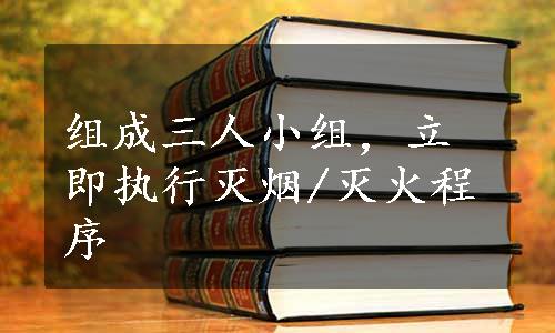 组成三人小组，立即执行灭烟/灭火程序