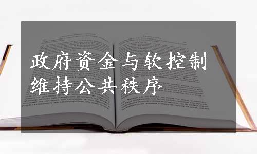 政府资金与软控制维持公共秩序