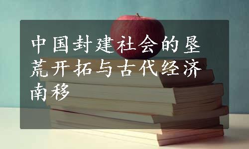 中国封建社会的垦荒开拓与古代经济南移