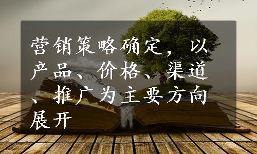 营销策略确定，以产品、价格、渠道、推广为主要方向展开
