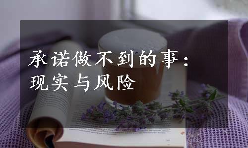 承诺做不到的事：现实与风险