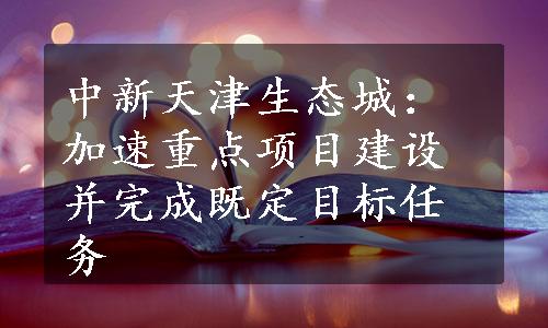 中新天津生态城：加速重点项目建设并完成既定目标任务