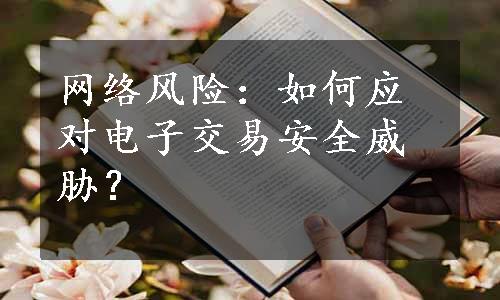 网络风险：如何应对电子交易安全威胁？