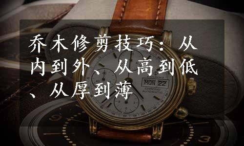 乔木修剪技巧：从内到外、从高到低、从厚到薄