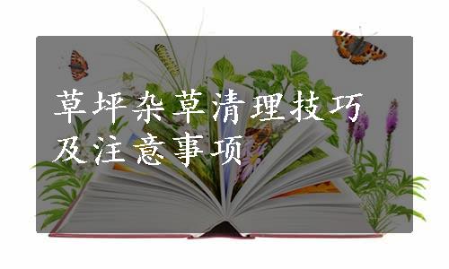 草坪杂草清理技巧及注意事项