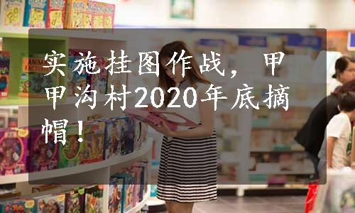 实施挂图作战，甲甲沟村2020年底摘帽！