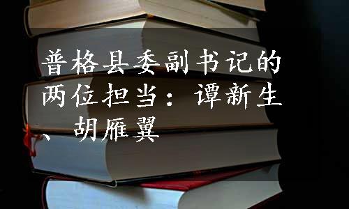 普格县委副书记的两位担当：谭新生、胡雁翼