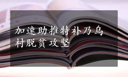 加速助推特补乃乌村脱贫攻坚