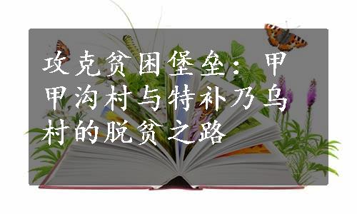 攻克贫困堡垒：甲甲沟村与特补乃乌村的脱贫之路