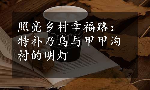 照亮乡村幸福路：特补乃乌与甲甲沟村的明灯