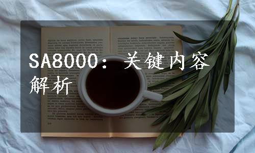 SA8000：关键内容解析