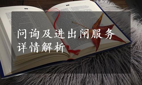 问询及进出闸服务详情解析