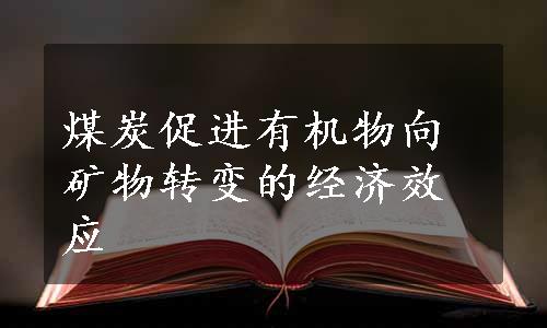 煤炭促进有机物向矿物转变的经济效应