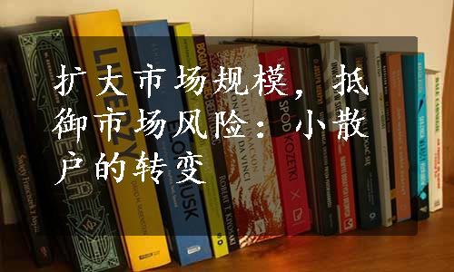 扩大市场规模，抵御市场风险：小散户的转变