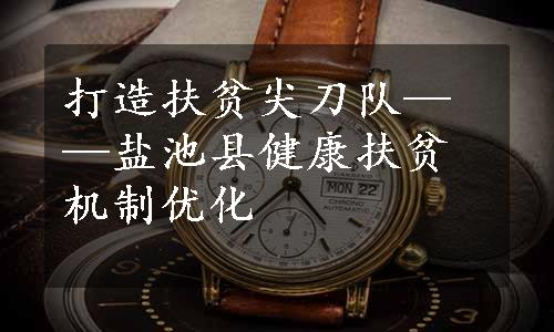 打造扶贫尖刀队——盐池县健康扶贫机制优化