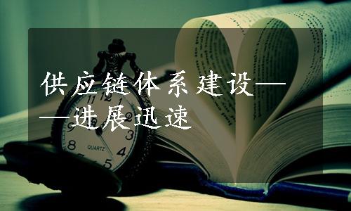 供应链体系建设——进展迅速